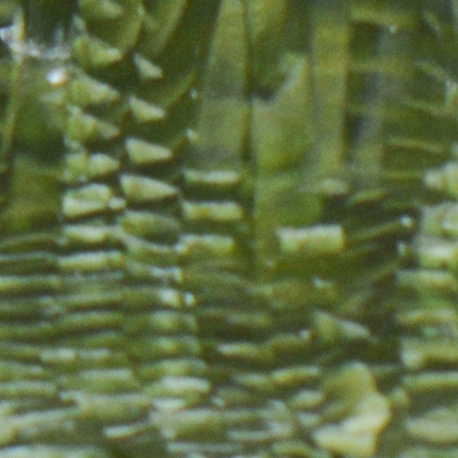 Olive Scale Mazzucchelli Cellulose Acetate Sheet