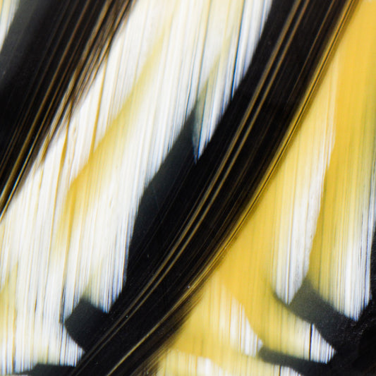 Sunburst Mazzucchelli Cellulose Acetate Sheet